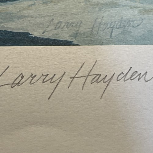 Larry Hayden, 1977, Michigan Duck Stamp Print, 571/650, postfrische Briefmarke, keine Beschädigungen!, - Bild 6 von 11
