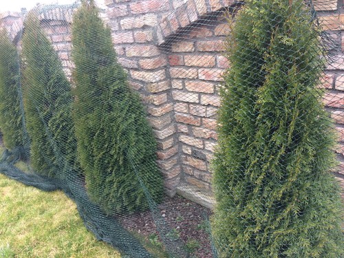 Vogelschutznetz Teichnetz Obstbaumnetz Schutznetz sehr stark viele Größen 30/15g - Bild 10 von 13