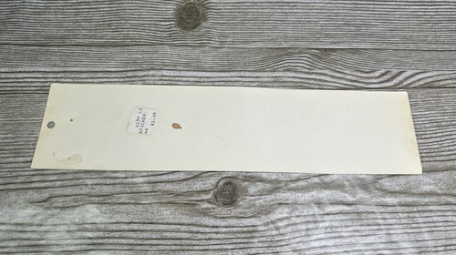 "Pegatina de parachoques vintage de los San Francisco 49ers Wincraft NFL 12""x3""" - Imagen 5 de 7