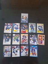 Sale  Discounts  16  Players  Winipeg  Jets  E  76