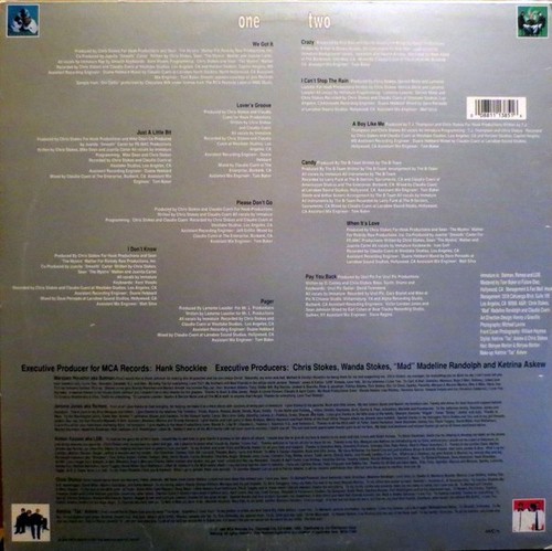 Immature - We Got It (LP) (Mint (M)) - 3687692212 - Picture 2 of 4