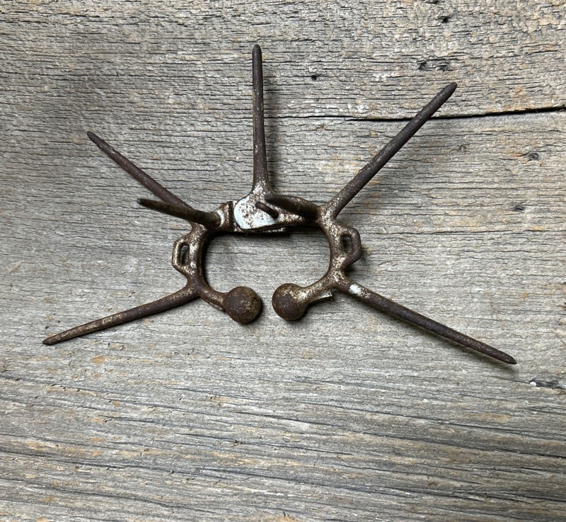Antique Cast Iron Calf Spiked Weaning Nose Ring
