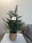 Threshold- Faux Pine Tree
