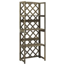 Trellis Gray Solid fir wood 21.7x11.8x55.1 in Shelving Trellis
