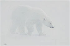 FRASE ORIGINAL PAINTING POLAR BEAR BLIZZARD SNOW WILDLIFE ART Duck Stamp Artist