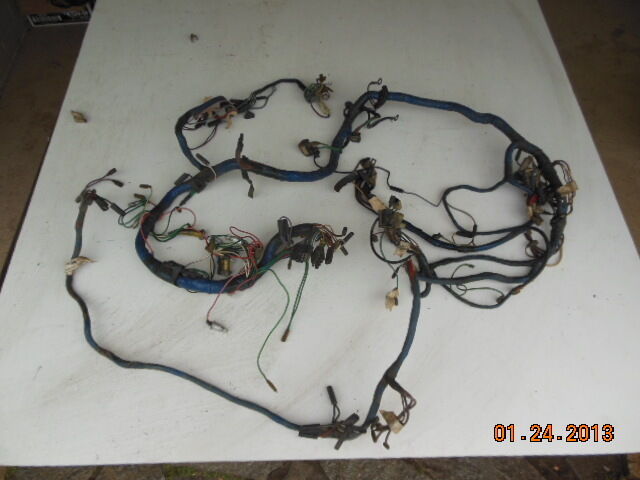 Picture 5 of 6