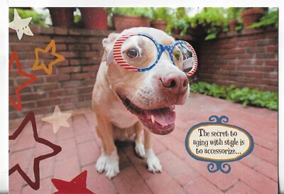 NOS LEANIN TREE Birthday Card 4.5x6.75 Dog Secret to Aging w/Style Accessorize