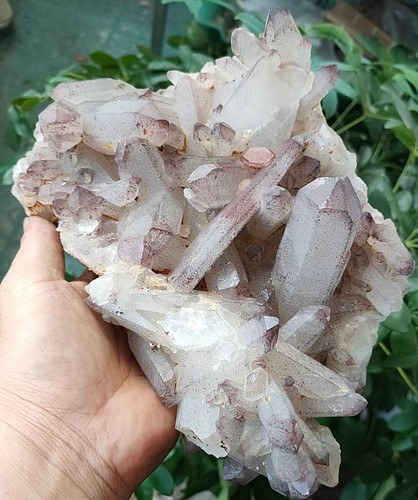 2010g Natural Clear Red Quartz Crystal Clueter Mica Mineral Specimen - Picture 2 of 17