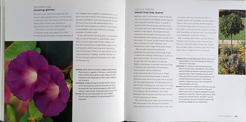 The Successful Herb Gardener: Growing and Using Herbs-Quickly and Easily - Picture 4 of 5