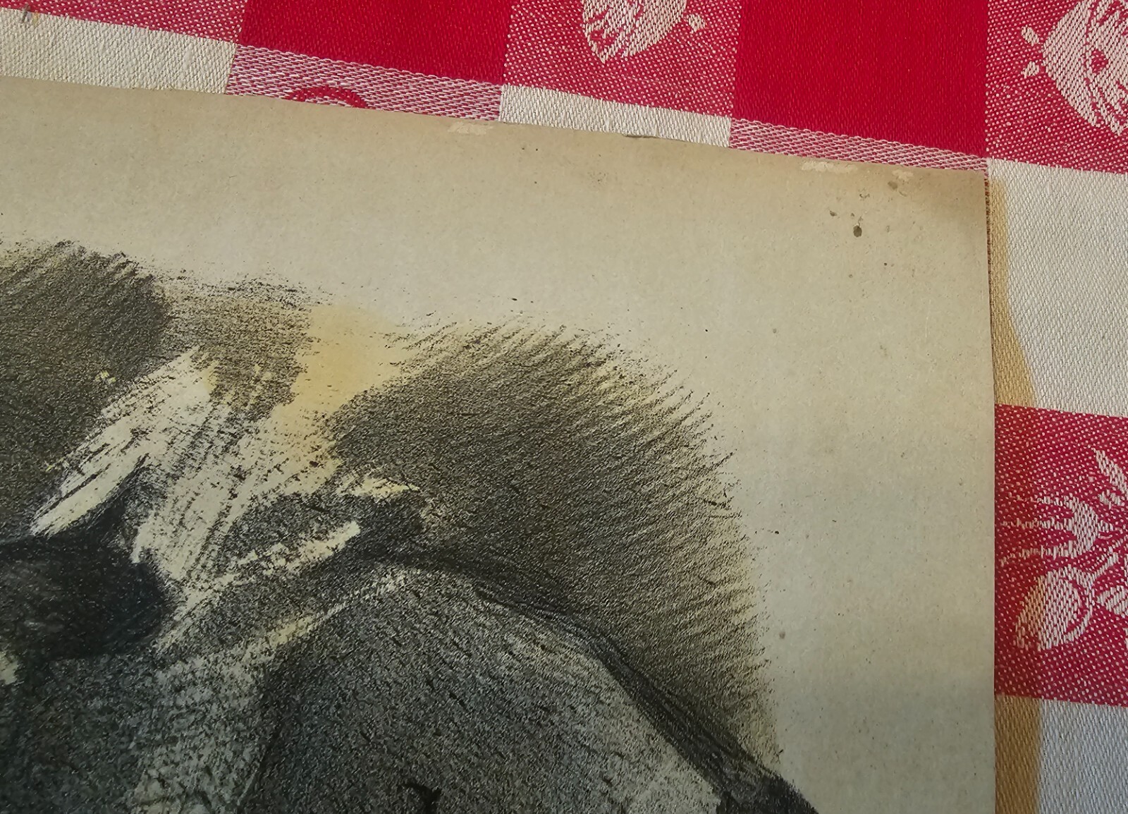 Bild 9 von 10
