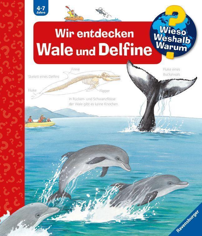 Thumbnail - Wieso? Weshalb? Warum?, Band 41: Wir Entdecken Wale Und Delfine, Doris