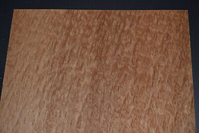 Eucalyptus Burl Raw Wood Veneer Sheets 11 x 20 inches 1//42nd thick 7659-28