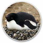 2 x Vinyl Stickers 25cm - Adorable Baby Penguin Antarctica Cool Gift #15707