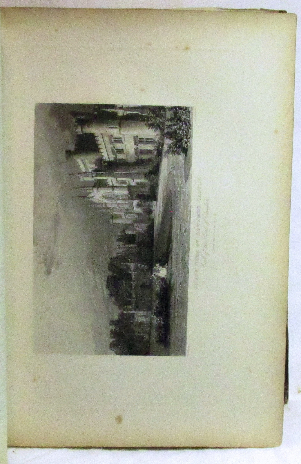 Picture 5 of 12