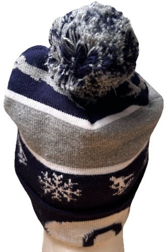 Colorado Flagge Meier Ski Berg Szene Winter Bommel Mütze Snowboard Schneeflocke - Bild 3 von 7