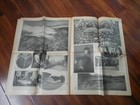 Picture 4 of 7