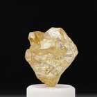 Foto 14 di 22