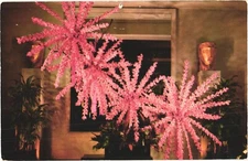 Honolulu Hawaii Vanda Orchid Display in The Royal Hawaiian Hotel Postcard