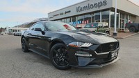 2019 Ford Mustang GT - Aluminum Wheels - Power Seat - $146.26 /Wk