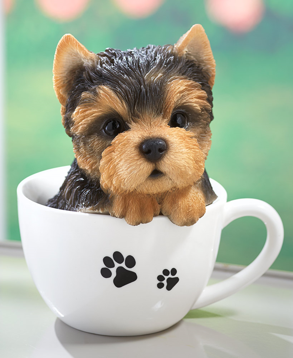 Yorkie Dog Teacup Yorkie Accessories Teacup Yorkie Poo Accessories