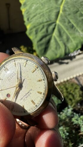 Super Rare Vintage Nivada Alerta Alarm Indicator Mens Watch Manual Wind - Picture 2 of 11