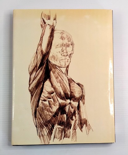 Human Anatomy for the Artist by John Raynes (1979 HCDJ) Art LIfe Drawing EX COND - Bild 3 von 13