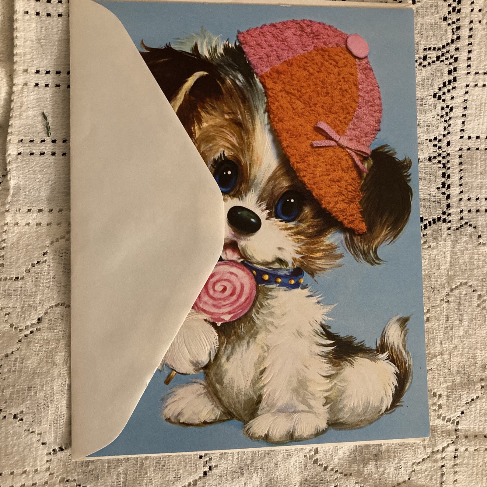 Picture 13 of 19