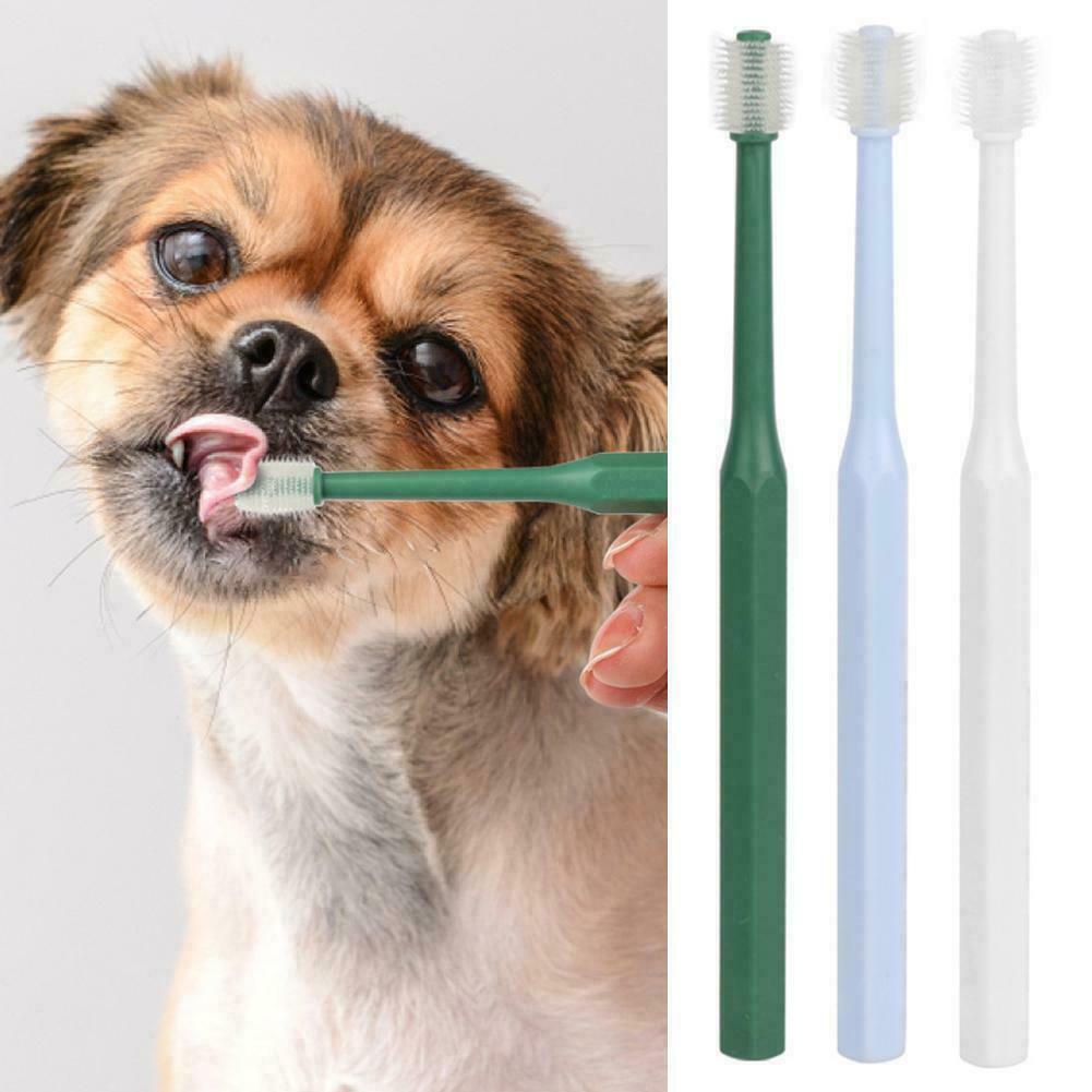Dog hotsell dental brush