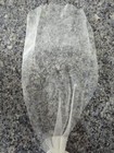 Picture 4 of 8
