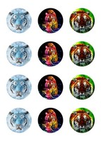 Muffinaufleger Muffins Amerikaner Kindergeburtstag Tiere Tiger TG01