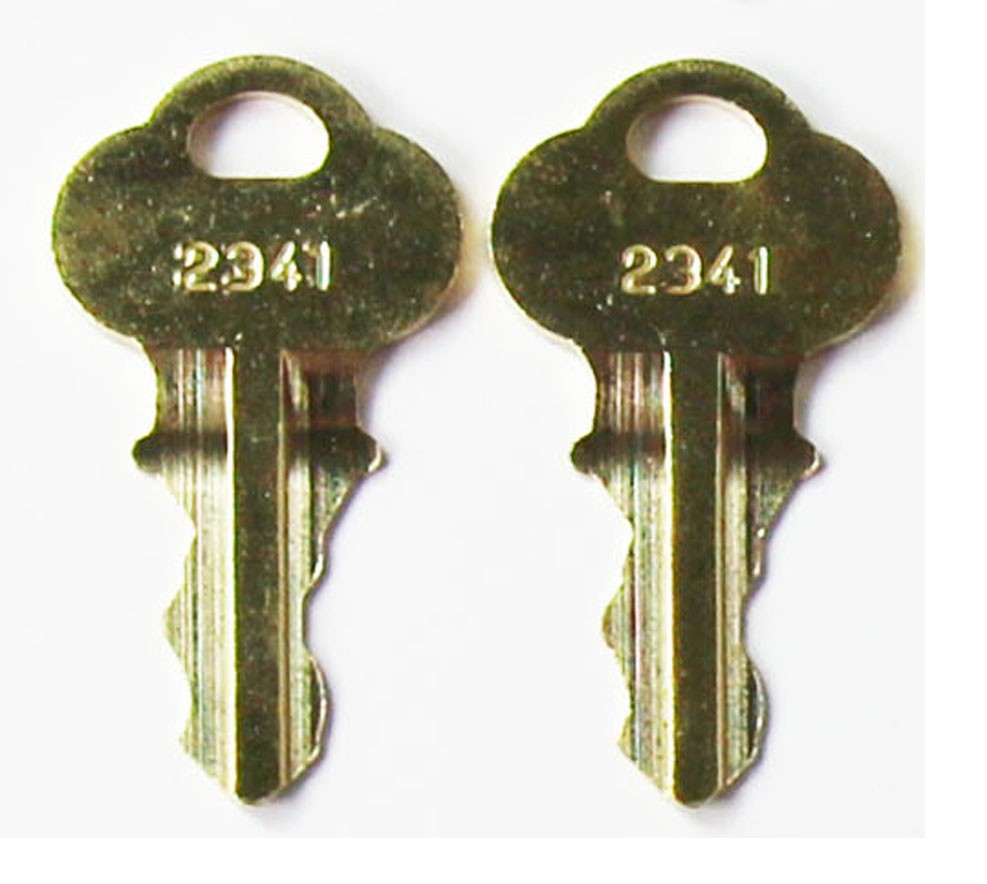 2 x Reset Keys, 2341, Slot Machine Jackpot Key *Free Shipping* | eBay