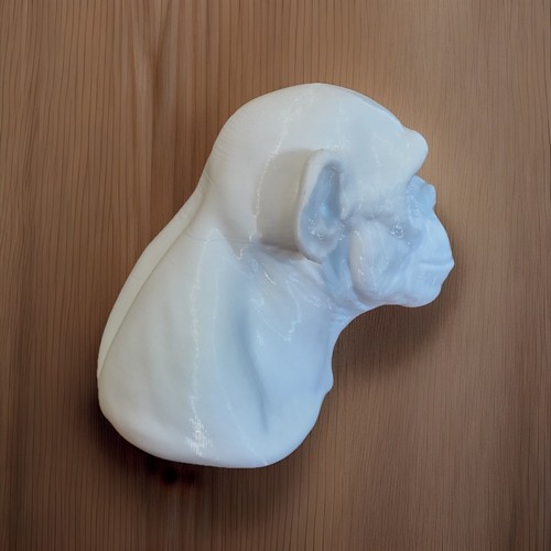 Ape Bust 8 Inches - White - Picture 4 of 4