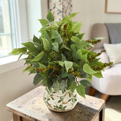 13'' Mixed Ficus Fittonia and Berries Plant in Floral Vase