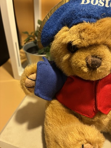 Rare Boston Bear  - Picture 5 of 7