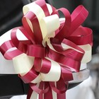 10 Pcs Plastic Pull Bows Ribbon Bowknots for Gift Wrapping Wedding Car Decor