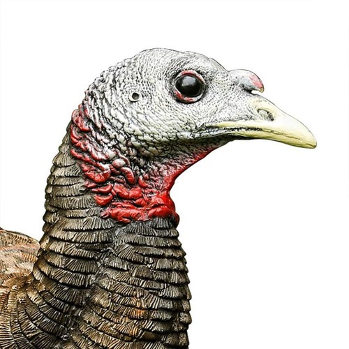 Breeder Lifelike Collapsible Decoy LCD Folding Hen Turkey Hunting Decoy w/ 24... - 第 5/7 張圖片