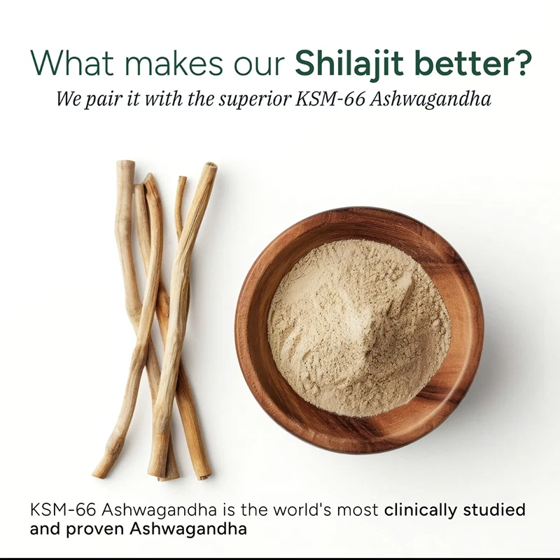Root Labs 10 em 1 Alpha Shilajit Gummies – 4000mg Himalayan Shilajit – 120 Gummy - Imagem 4 de 4