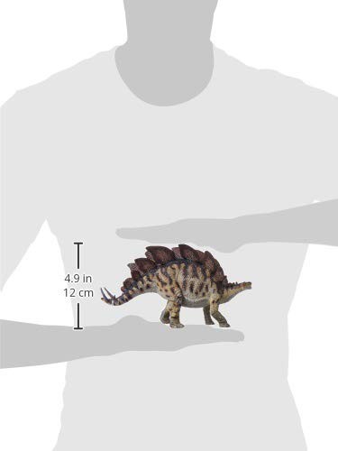Papo Stegosaurus Multi - Picture 7 of 7