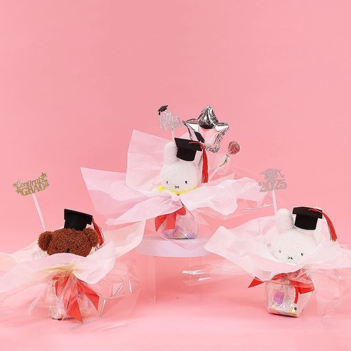 Miffy 2025 Graduation Gift Set, Grad 2025 Gift ,Cute Miffy Plush - Picture 3 of 9
