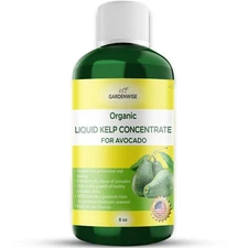 Organic Liquid Kelp Fertilizer | Seaweed Plant Food for Avocado Trees