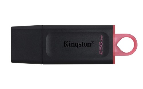 Kingston DataTraveler Exodia DTX/256GB Flash Drive USB 3.2 Gen 1 - with Protecti
