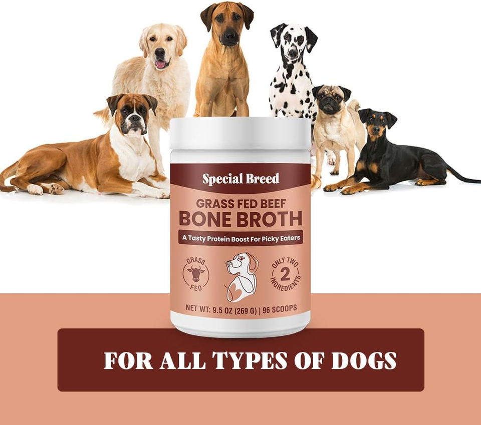 Bone Broth Powder for Dogs and Cats Dog and Cat Food Topper, Grass Fed Beef Br eBay