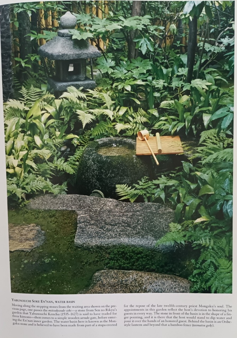 Picture 6 of 9
