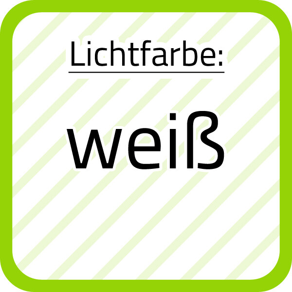 Bild 10 von 12