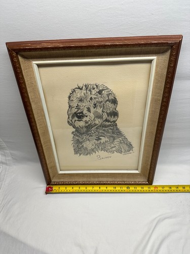 Dibujo a lápiz original boceto de perro "Skippy firmado por D.Harding 77 enmarcado en madera - Imagen 1 de 5