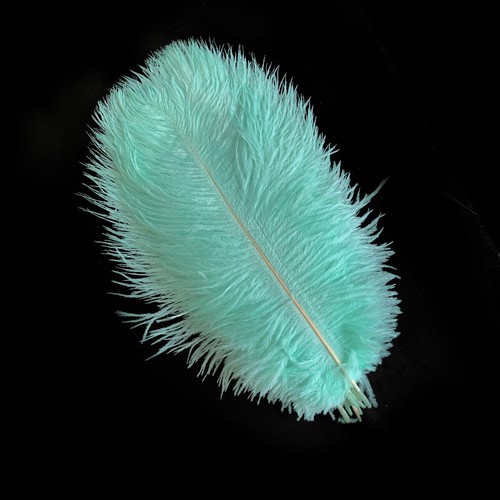 20-50cm Natural Beautiful Ostrich Feathers Wedding Party Decorations 21 Colours - Picture 13 of 33