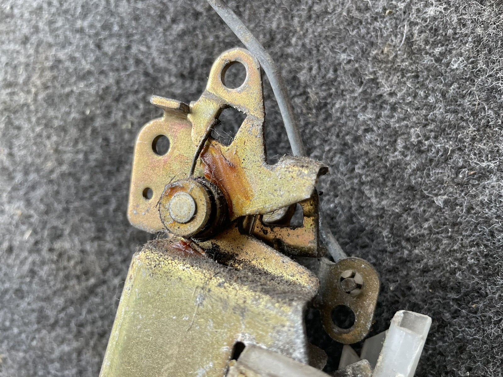 Picture 5 of 13