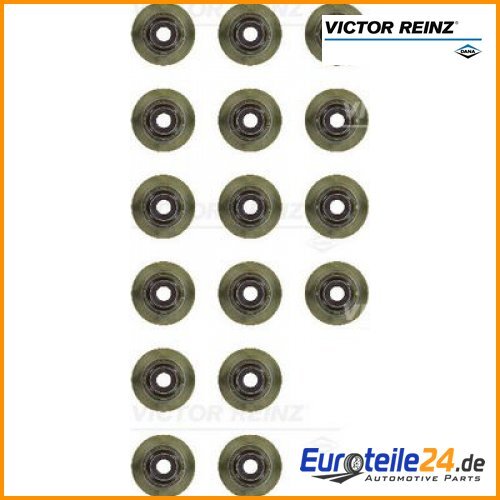Dichtungssatz, Ventilschaft Victor Reinz 12-12643-01-image