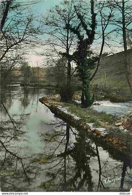 Postcard - 87 - Châteauneuf la Foret - La Combade near Châteaune