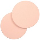 2 Pcs Flower Pot Saucers Water Absorbent Diatomite Tray for Plants